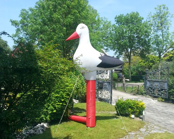 ooievaar ooievaar